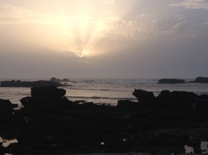 IMG_3909